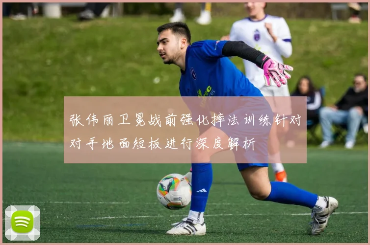 张伟丽卫冕战前强化摔法训练针对对手地面短板进行深度解析